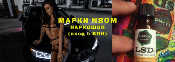амф Магас