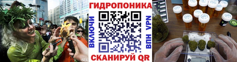 Купить закладки  Поронайск  Конопля план 